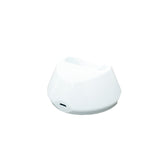 BASE DE CARGA DS1 PARA EV-07B EVIEW